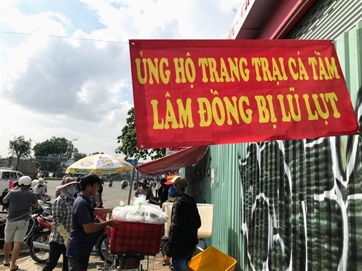 Người Sài Gòn chen chân giải cứu cá tầm Đà Lạt sau lũ lớn Nguoi Sai Gon chen chan giai cuu ca tam Da Lat sau lu lon