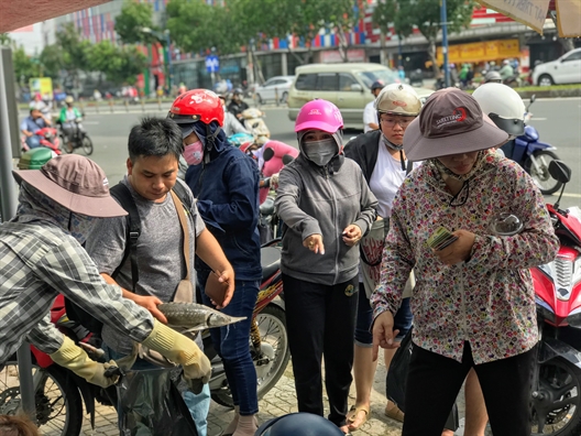 Người Sài Gòn chen chân giải cứu cá tầm Đà Lạt sau lũ lớn Nguoi Sai Gon chen chan giai cuu ca tam Da Lat sau lu lon