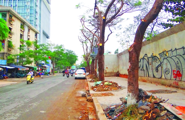 Chuyện Sài Gòn: Cây xanh thì thiếu, chiếu sáng thì lỗi Chuyen Sai Gon: Cay xanh thi thieu, chieu sang thi loi