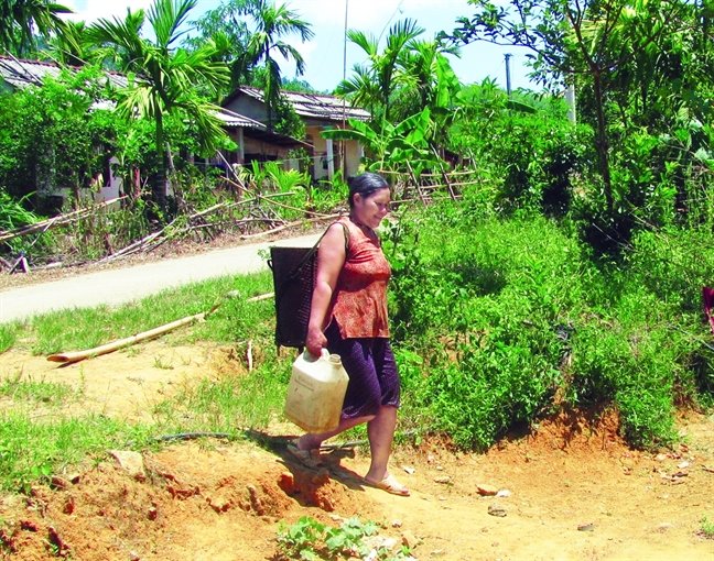 Hạn nặng, dân phải uống nước suối trâu dầm Han nang, dan phai uong nuoc suoi trau dam
