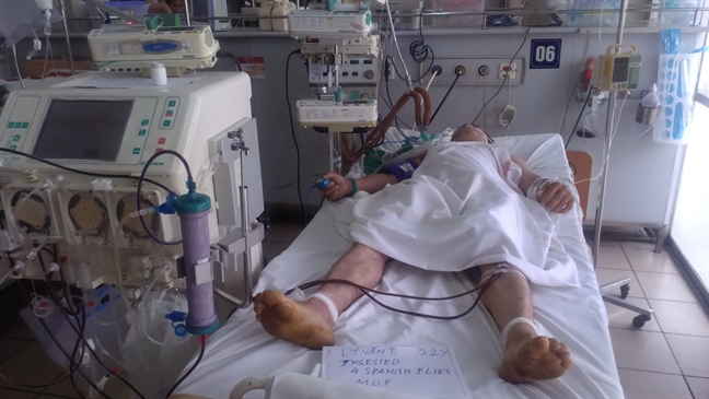 2 người tử vong vì ăn sâu ban miêu đang được nông dân bắt bán cho Trung Quốc 2 nguoi tu vong vi an sau ban mieu dang duoc nong dan bat ban cho Trung Quoc
