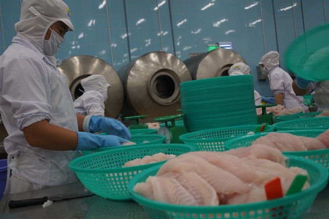 Thủy sản xuất khẩu đi châu Âu nhưng lại không đủ chuẩn vào siêu thị Việt Nam Thuy san xuat khau di chau Au nhung lai khong du chuan vao sieu thi Viet Nam