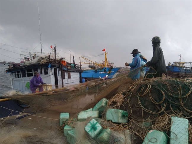 Người dân Quảng Bình, Quảng Trị hối hả gom thuyền, gặt lúa phòng bão Nguoi dan Quang Binh, Quang Tri hoi ha gom thuyen, gat lua phong bao