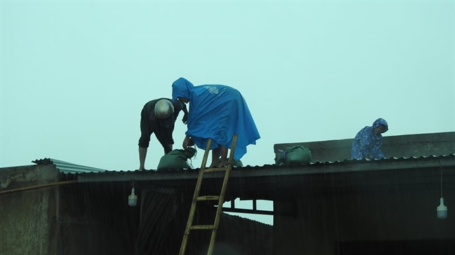Người dân Quảng Bình, Quảng Trị hối hả gom thuyền, gặt lúa phòng bão Nguoi dan Quang Binh, Quang Tri hoi ha gom thuyen, gat lua phong bao