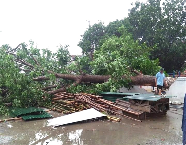Hàng ngàn học sinh Thanh Hóa phải nghỉ học vì ngập lụt Hang ngan hoc sinh Thanh Hoa phai nghi hoc vi ngap lut