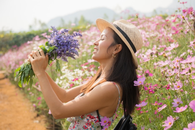 Những rủi may của hạnh phúc Nhung rui may cua hanh phuc