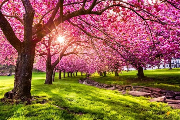 Tử vi Thứ 3 ngày 10/9/2019 của 12 cung Hoàng Đạo Tu vi Thu 3 ngay 10/9/2019 cua 12 cung Hoang Dao