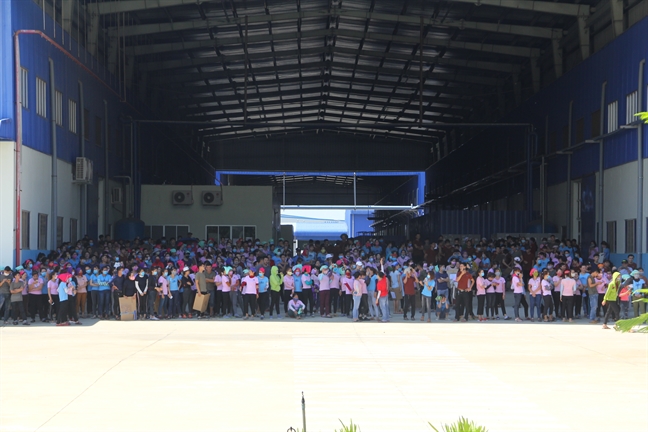 Giòi bò lúc nhúc trong suất ăn, 7.000 công nhân ở Quảng Nam dừng ăn, ngưng việc Gioi bo luc nhuc trong suat an, 7.000 cong nhan o Quang Nam dung an, ngung viec