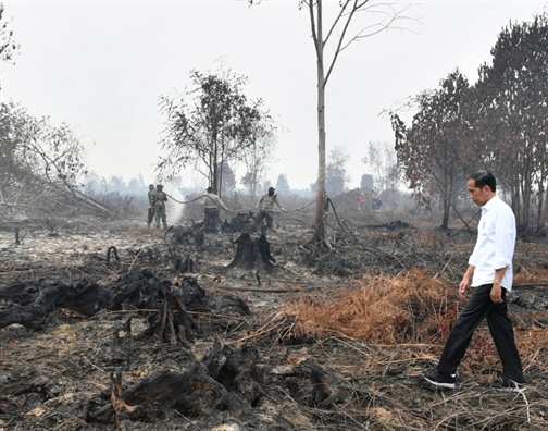 Hàng ngàn trường học ở Malaysia và Indonesia đóng cửa vì ô nhiễm không khí Hang ngan truong hoc o Malaysia va Indonesia dong cua vi o nhiem khong khi