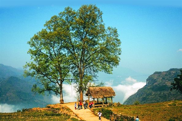 Y Tý - hồn vẫn còn hoang Y Ty - hon van con hoang