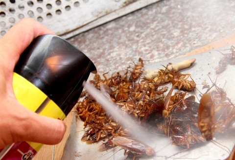 Chính sách có hiệu lực từ 1/10: Bán thuốc diệt côn trùng chung với thực phẩm bị phạt 3 triệu đồng Chinh sach co hieu luc tu 1/10: Ban thuoc diet con trung chung voi thuc pham bi phat 3 trieu dong