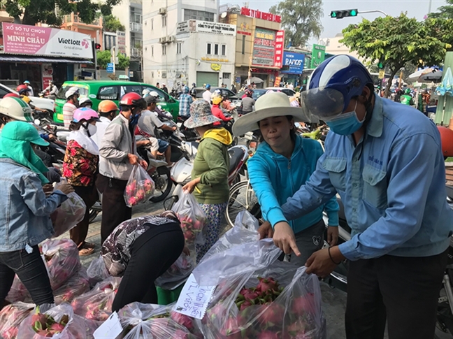 20 người Trung Quốc 'nắm' thị trường thanh long Bình Thuận 20 nguoi Trung Quoc 'nam' thi truong thanh long Binh Thuan