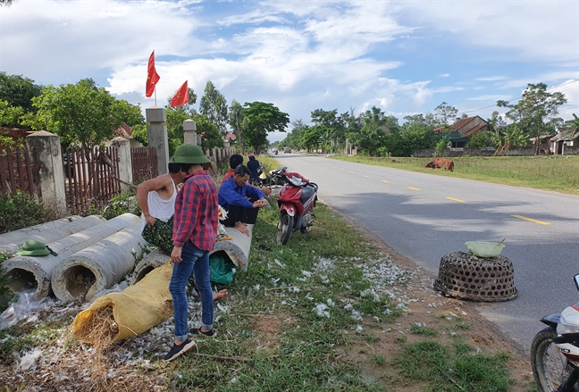 Mùa thu chết chóc của những đàn chim trời trong cạm bẫy người Mua thu chet choc cua nhung dan chim troi trong cam bay nguoi