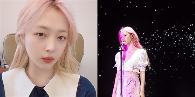 Anh trai Sulli từ bỏ quyền thừa kế tài sản từ em gái Anh trai Sulli tu bo quyen thua ke tai san tu em gai