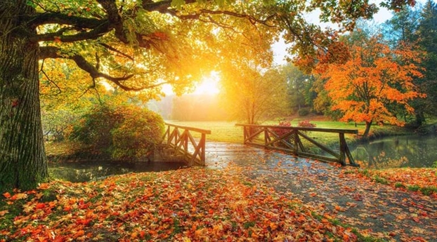 Tử vi Chủ nhật ngày 27/10/2019 của 12 cung Hoàng Đạo Tu vi Chu nhat ngay 27/10/2019 cua 12 cung Hoang Dao