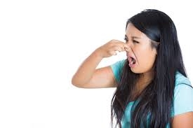 Ly hôn không dám về nhà vì ngán chị dâu Ly hon khong dam ve nha vi ngan chi dau