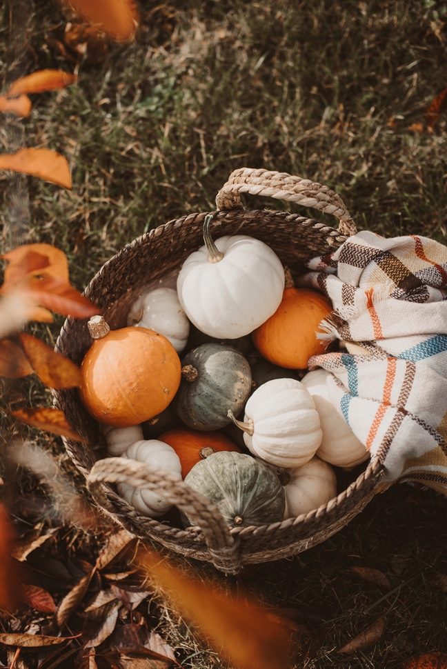 Tử vi thứ 2 ngày 28/10/2019 của 12 cung Hoàng Đạo Tu vi thu 2 ngay 28/10/2019 cua 12 cung Hoang Dao