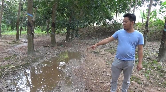 Người dân kêu cứu vì trại nuôi hàng ngàn con heo gây ô nhiễm Nguoi dan keu cuu vi trai nuoi hang ngan con heo gay o nhiem