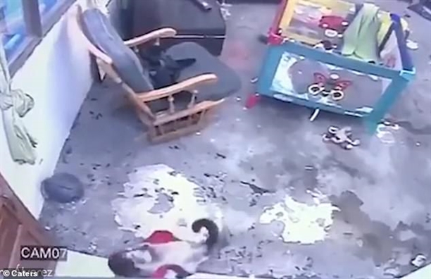 Bé 1 tuổi thoát hiểm trong gang tấc nhờ cô mèo Xiêm thông minh Be 1 tuoi thoat hiem trong gang tac nho co meo Xiem thong minh