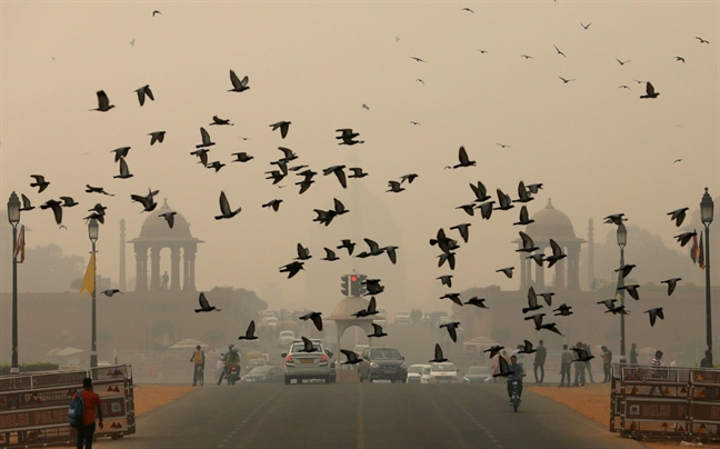 New Delhi: Ô nhiễm không khí 'giảm một nửa' New Delhi: O nhiem khong khi 'giam mot nua'