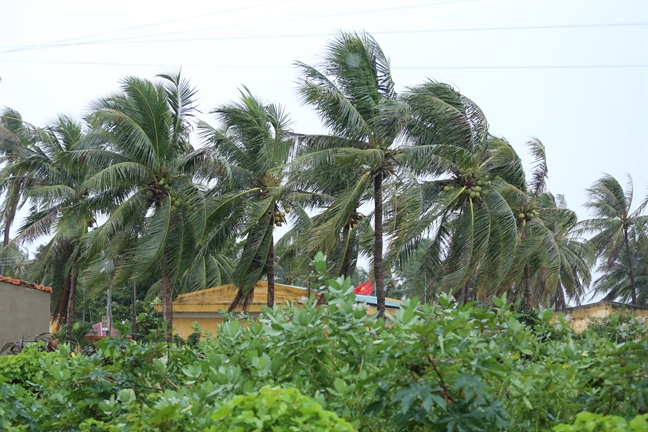 Người dân Khánh Hòa chèn chống nhà cửa, sẵn sàng ứng phó cơn bão số 6 Nguoi dan Khanh Hoa chen chong nha cua, san sang ung pho con bao so 6