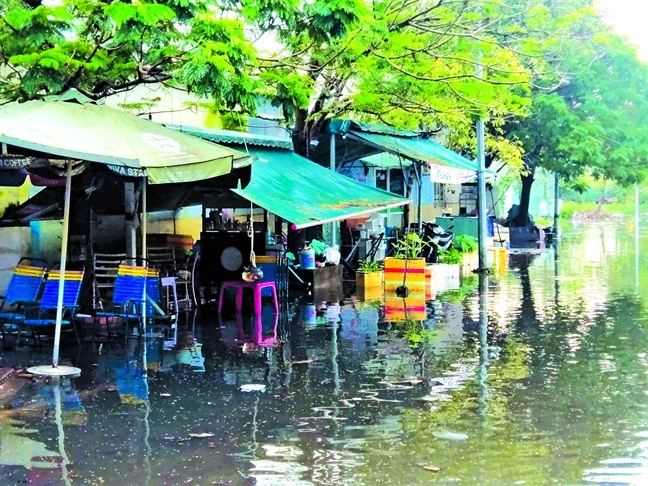 Tiếng thở dài sau cuộc di dời! Tieng tho dai sau cuoc di doi!