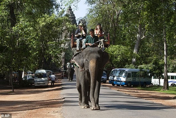 Campuchia cấm du lịch cưỡi voi tại khu di tích Angkor Campuchia cam du lich cuoi voi tai khu di tich Angkor