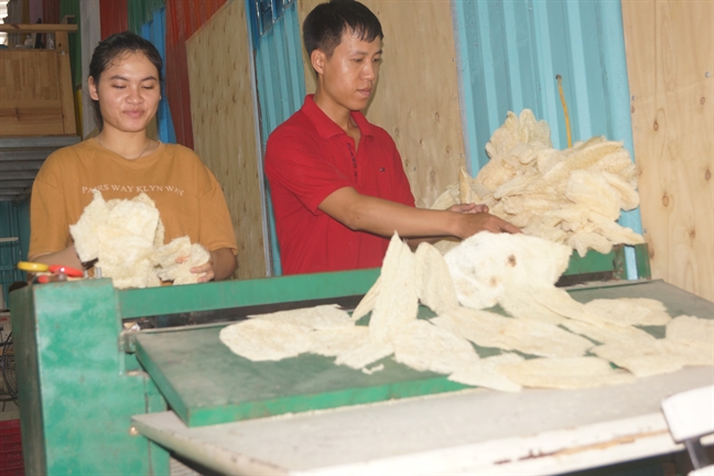 Xơ mướp của Mạc Như Nhân Xo muop cua Mac Nhu Nhan