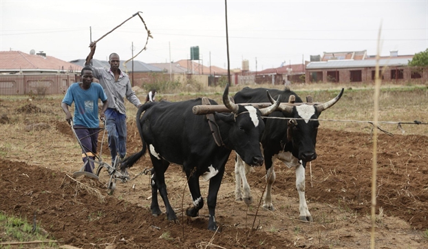 Bắc Kinh giận dữ vì Zimbabwe ‘đánh tụt’ con số viện trợ của Trung Quốc Bac Kinh gian du vi Zimbabwe ‘danh tut’ con so vien tro cua Trung Quoc