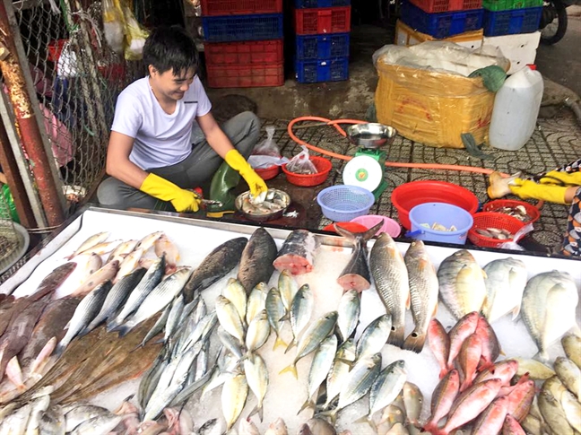 Giá thịt bò, gia cầm, thủy hải sản 'ăn theo' thịt heo Gia thit bo, gia cam, thuy hai san 'an theo' thit heo