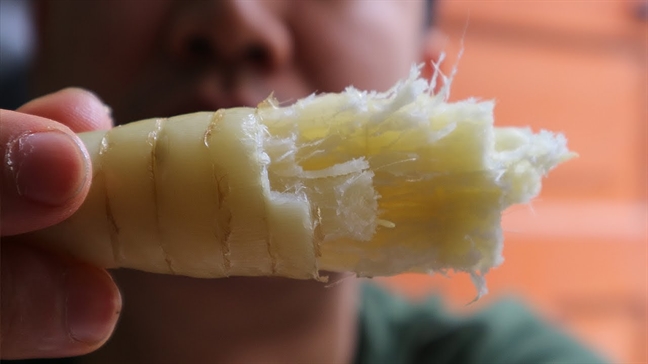 Những mùa khoai hạ Nhung mua khoai ha
