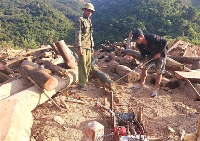 Người dân liều mình vớt gỗ ở thượng nguồn thủy điện Bản Vẽ Nguoi dan lieu minh vot go o thuong nguon thuy dien Ban Ve