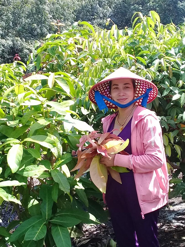 Người đem rau rừng về phố Nguoi dem rau rung ve pho