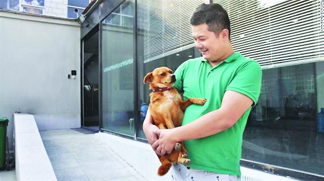 Ngành dịch vụ tỷ đô phục vụ thú cưng Nganh dich vu ty do phuc vu thu cung