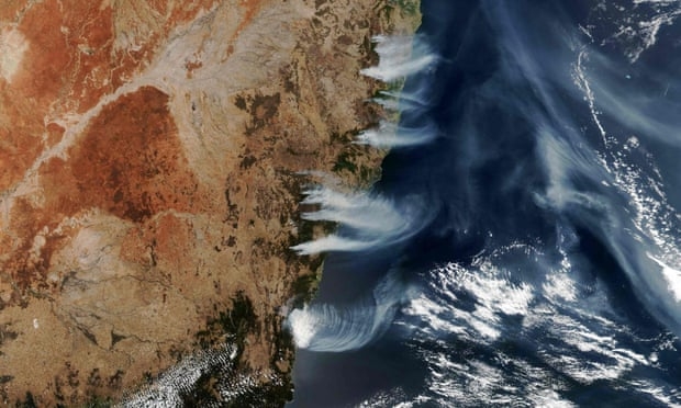 Cháy rừng ở Úc giải phóng lượng CO2 khổng lồ, khó có thể phục hồi Chay rung o Uc giai phong luong CO2 khong lo, kho co the phuc hoi
