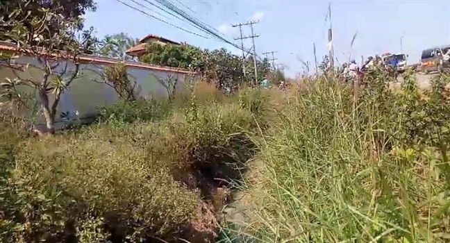 Đã xác định được thủ phạm biến mương nước sang màu xanh có mùi như thuốc trừ sâu Da xac dinh duoc thu pham bien muong nuoc sang mau xanh co mui nhu thuoc tru sau