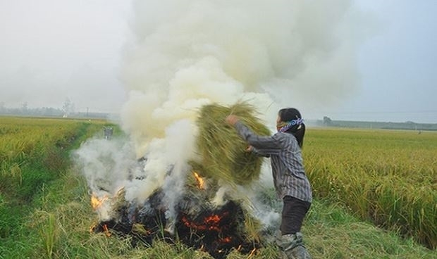 Bộ Tài Nguyên và Môi trường đưa ra 4 giải pháp khắc phục ô nhiễm cho Hà Nội, TPHCM Bo Tai Nguyen va Moi truong dua ra 4 giai phap khac phuc o nhiem cho Ha Noi, TPHCM