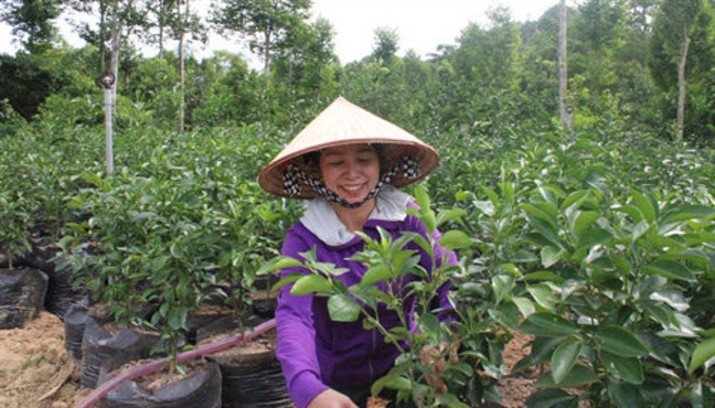 Chồng pha sữa cho vợ, thấy mẹ bèn uống ngay để mẹ không buồn Chong pha sua cho vo, thay me ben uong ngay de me khong buon