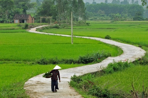 Thận trọng với chính con ruột, còn gì buồn hơn? Than trong voi chinh con ruot cua minh, con gi buon hon?