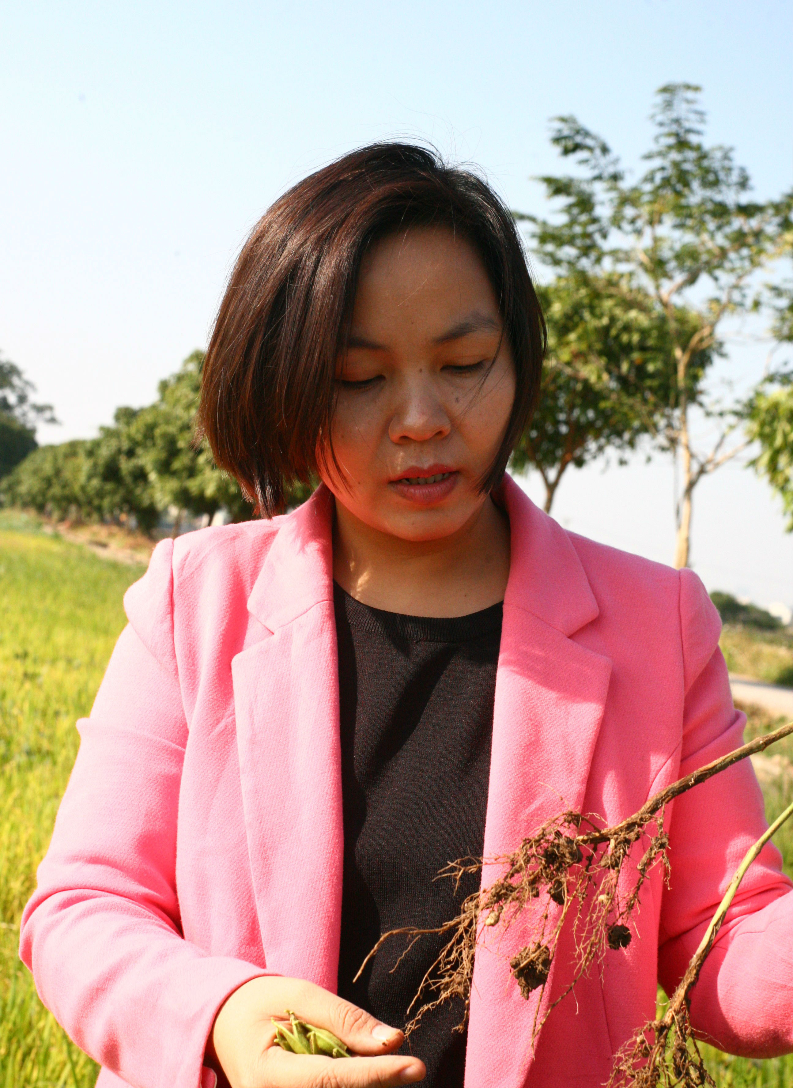 Cánh đồng này được gieo đỗ tương để cải tạo đất trước khi canh tác, mỗi nốt sần trên bộ rễ của đỗ tương đều chứa đạm hữu cơ để 'tặng' lại cho đất mẹ. Cánh đồng này được gieo đỗ tương để cải tạo đất trước khi canh tác, mỗi nốt sần trên bộ rễ của đỗ tương đều chứa đạm hữu cơ để 'tặng' lại cho đất mẹ.